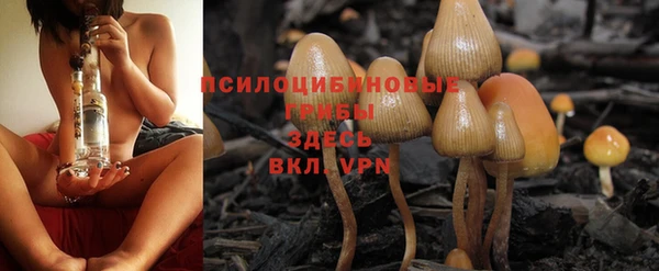 PSILOCYBIN Алексеевка