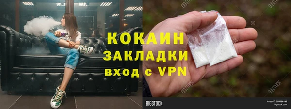 тгк Алексин