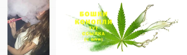 PSILOCYBIN Алексеевка