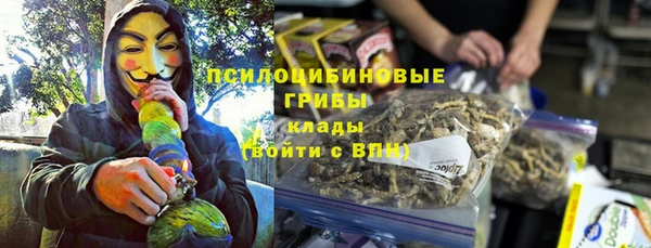 тгк Алексин