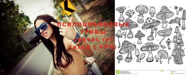 PSILOCYBIN Алексеевка