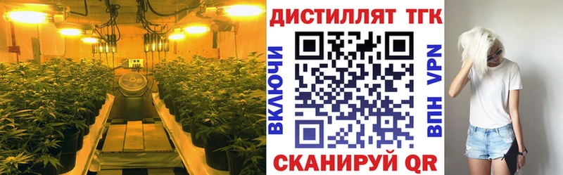 как найти закладки  Задонск  Дистиллят ТГК вейп 